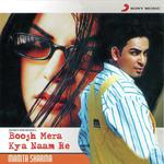 Boojh Mera Kya Naam Re - Brijesh Shandilya Song Download